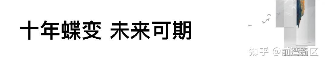 截止目前十年蝶变厚积薄发究竟杭州湾新区为我们带来怎么的蝶变与奇迹