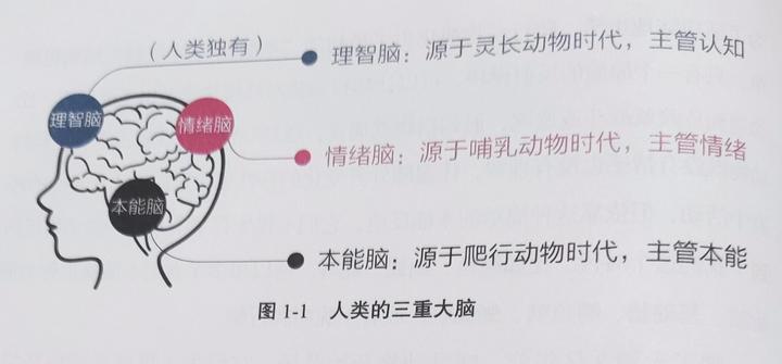 成为思维舵手(三）保持清醒 - 知乎