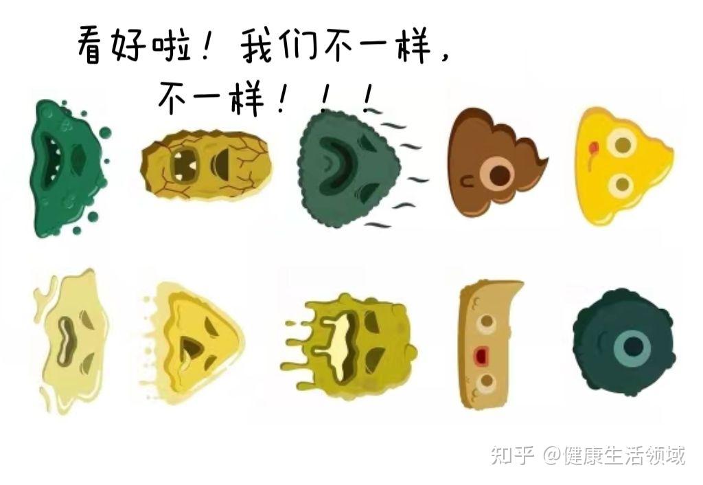隐藏在大便中的“秘密”~观大便而知健康! - 知乎
