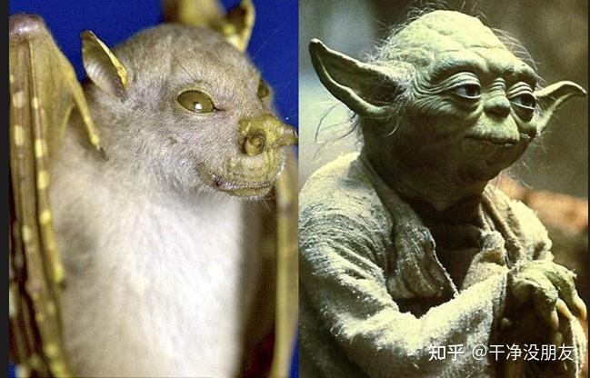 神秘恐怖生物暴君水蛭