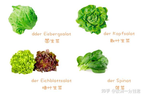 德国常见蔬菜｜德国蔬菜中德对应知多少，还有做法讲解哦！ - 知乎