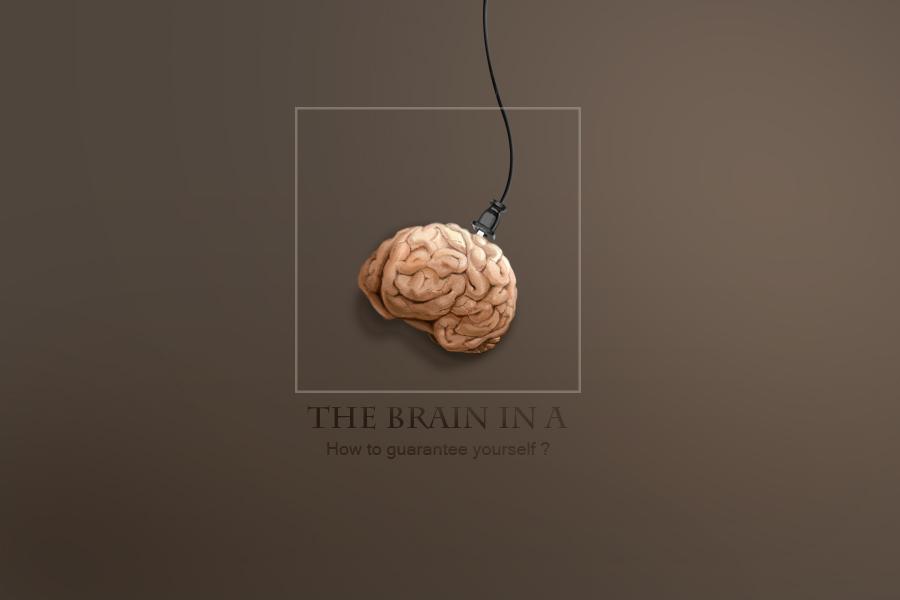 谈谈认识论二缸中之脑的困境