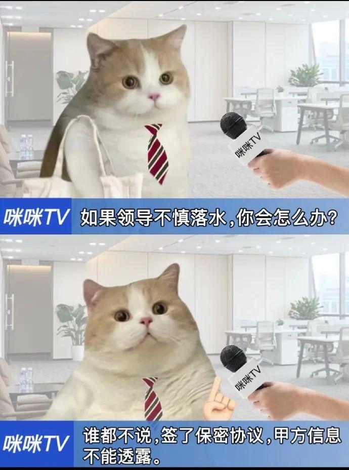 如果领导不慎落水—— - 知乎