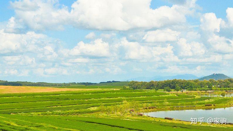 华中平原上的蒙古风草原风光