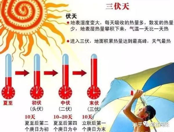 为什么说祛湿先调脾,三伏天是调理脾胃好时机?千万不要错过! - 知乎
