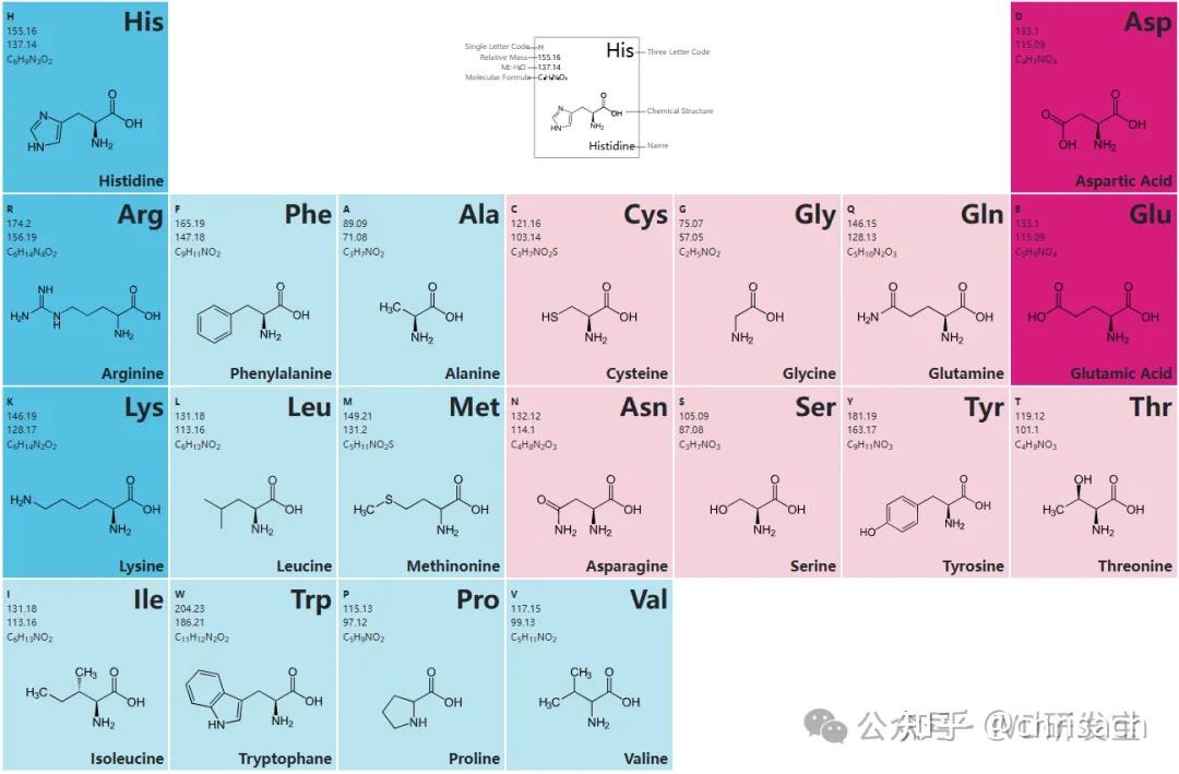 20种常见氨基酸的结构、极性、电荷、等电点、解离常数，标准品图谱、线性曲线 - 知乎