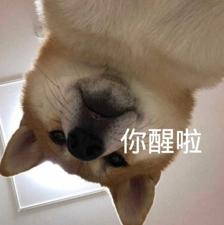 你都存了哪些沙雕表情包?