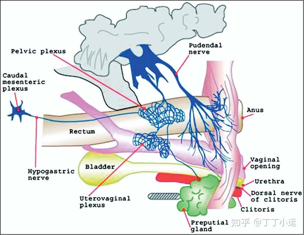为什么女生拒绝你刺激c点?