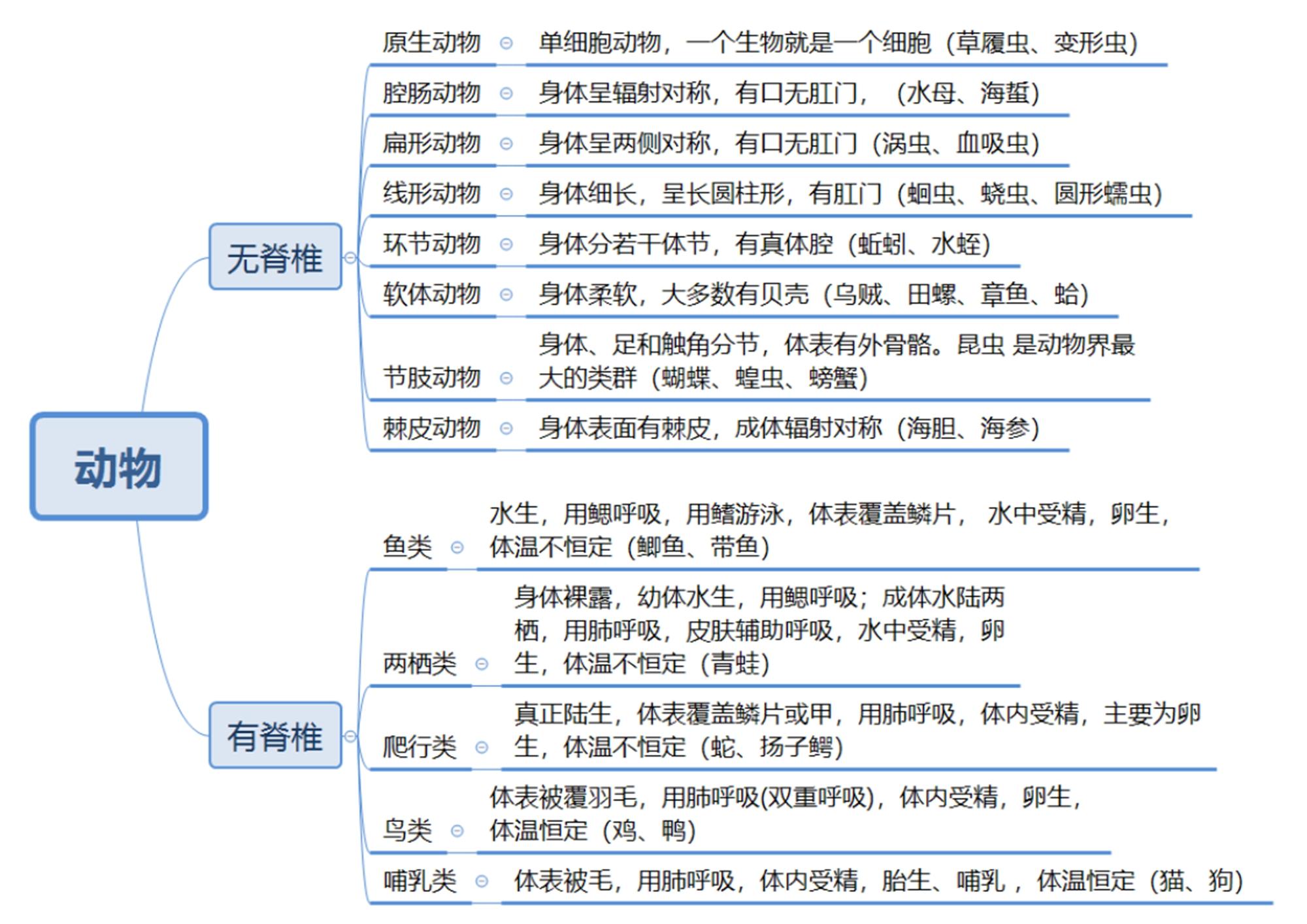 初中生物章節思維導圖26張完整版通儒公考圈精製免費共享