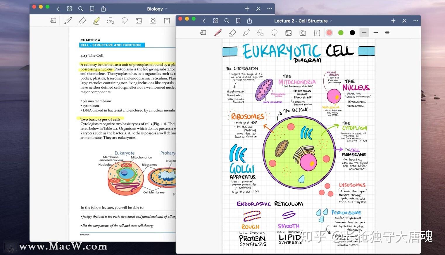 手写笔记和PDF标注必备工具—GoodNotes 5 知乎