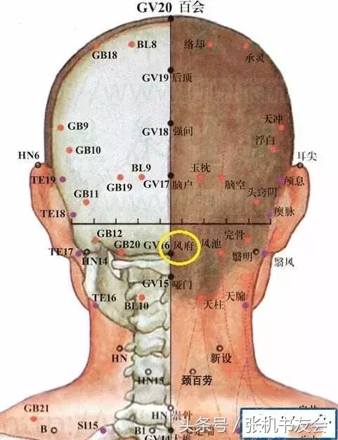 人体三百六十穴之定位歌诀 - 知乎