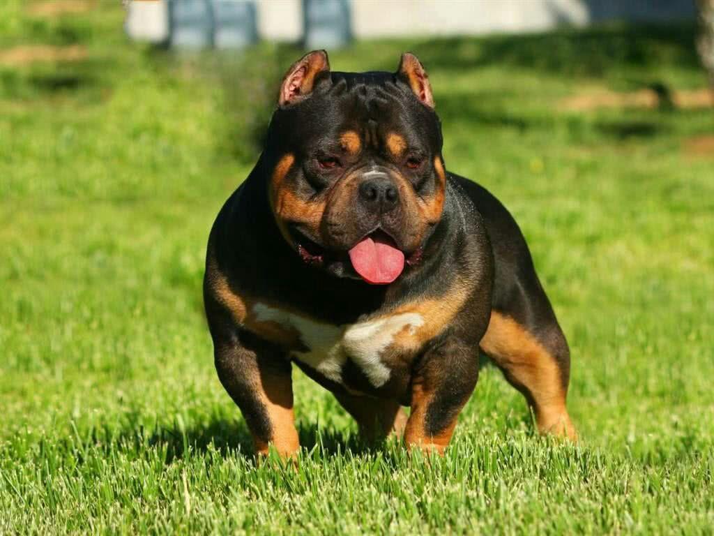 怎么样去很可爱地18duǐ人呢