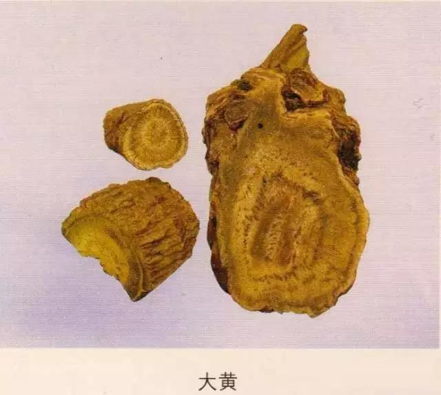 203种常用中药的鉴别及彩图汇总！ - 知乎