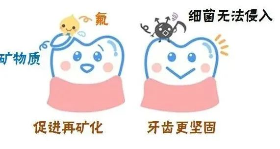 几个月开始涂氟 v2-1c56cca630760482345d2099d33975a0_r.jpg