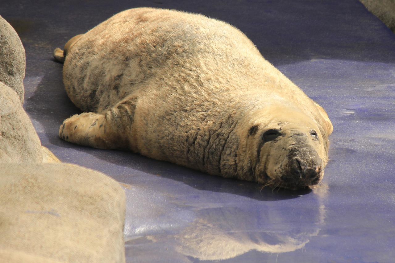 防潮干燥剂吃了怎么办