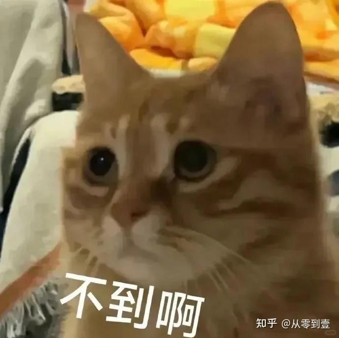 各运营商地区套餐整理—高性价比的地区套餐有哪些?