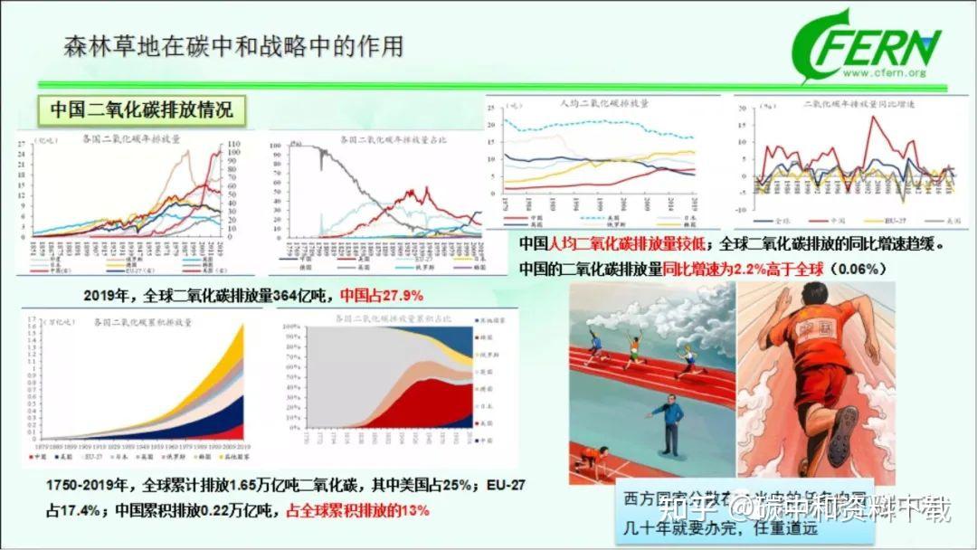 国际碳汇林标准图片