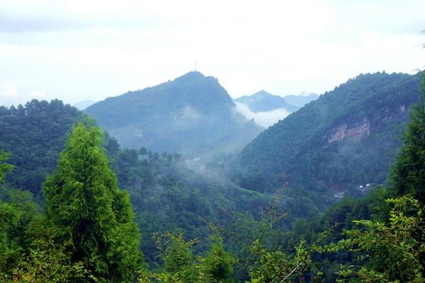 古蔺有座五台山