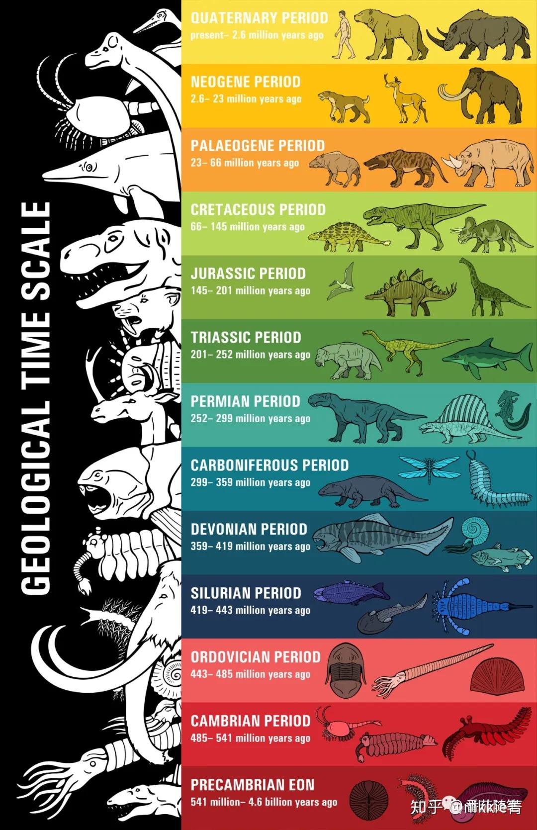 地球历史的各个纪元是怎么划分的? - 知乎