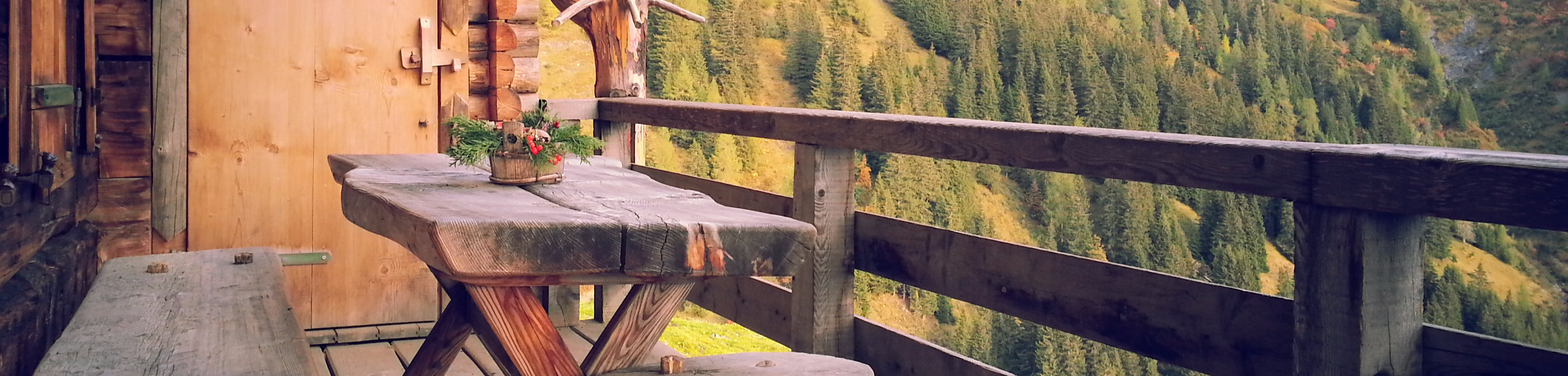Zhihu banner for @johanny