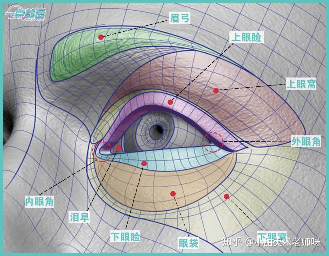 速写基础|-眼睛详解 - 知乎