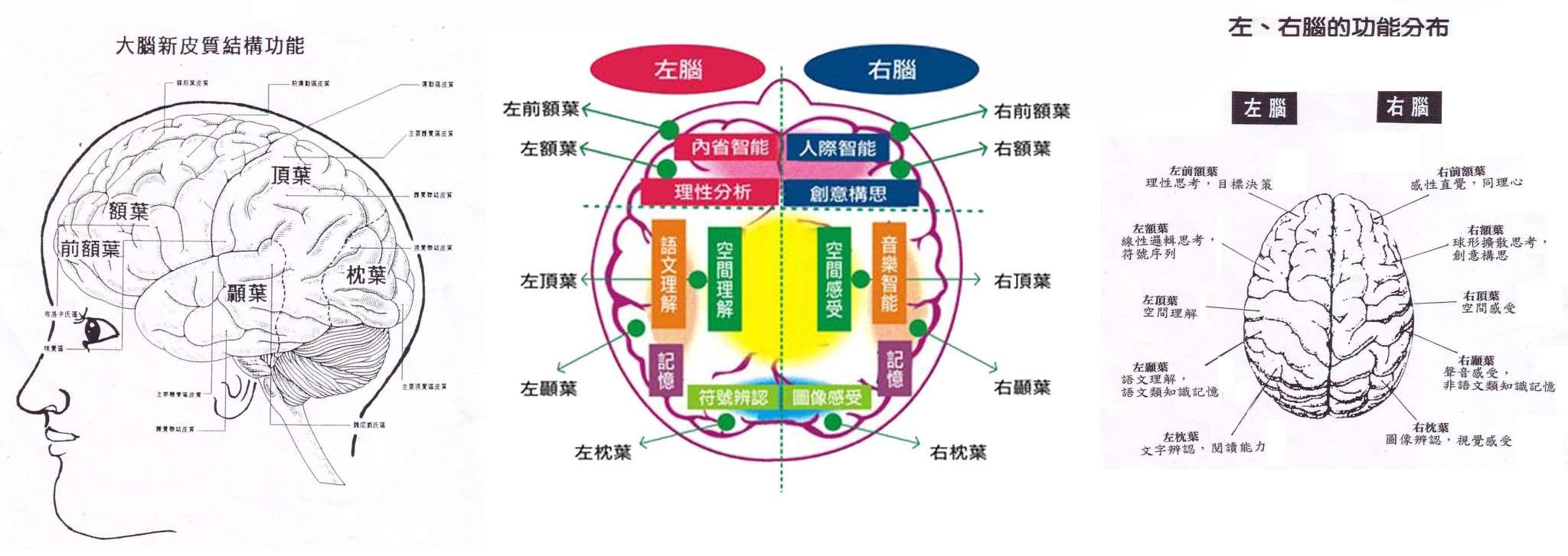 感觉现象:感觉适应、后像、对比、联觉「心理学了13」 - 知乎