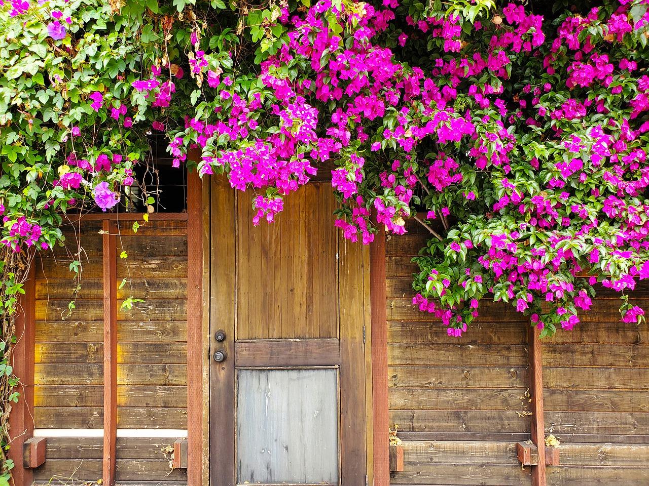 4. 合欢木硬度对比