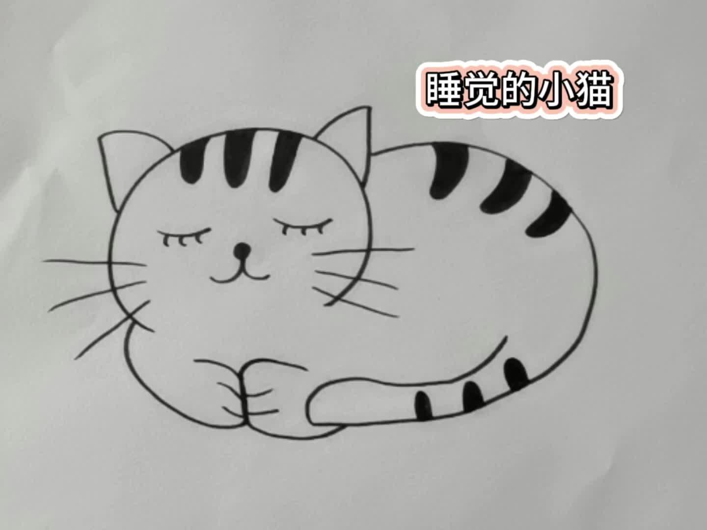 睡觉的小猫简笔画图片