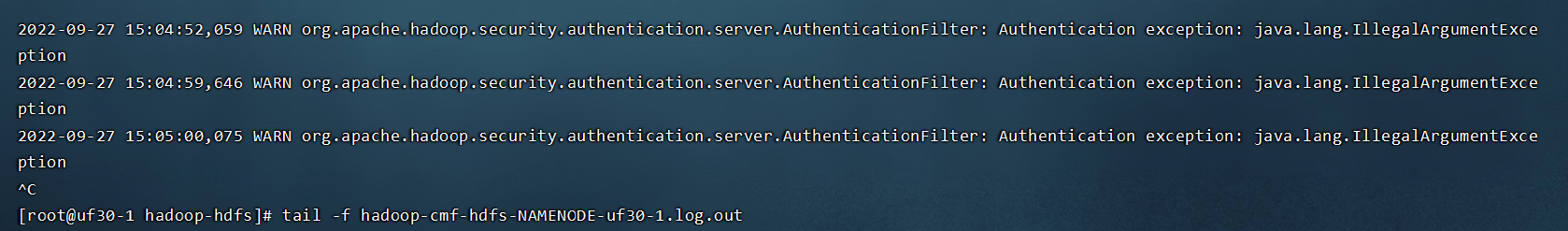 CDH CDP kerberos HDFS YARN HIVESERVER2 webui 