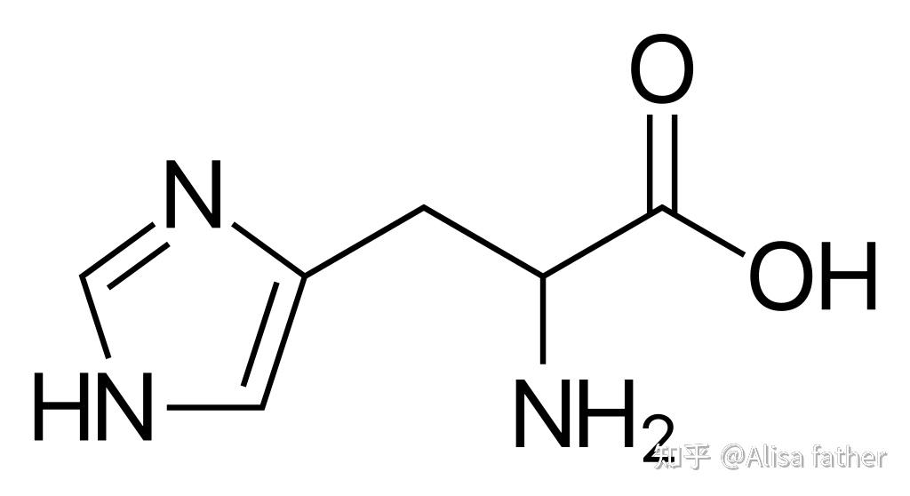 组氨酸 - 知乎