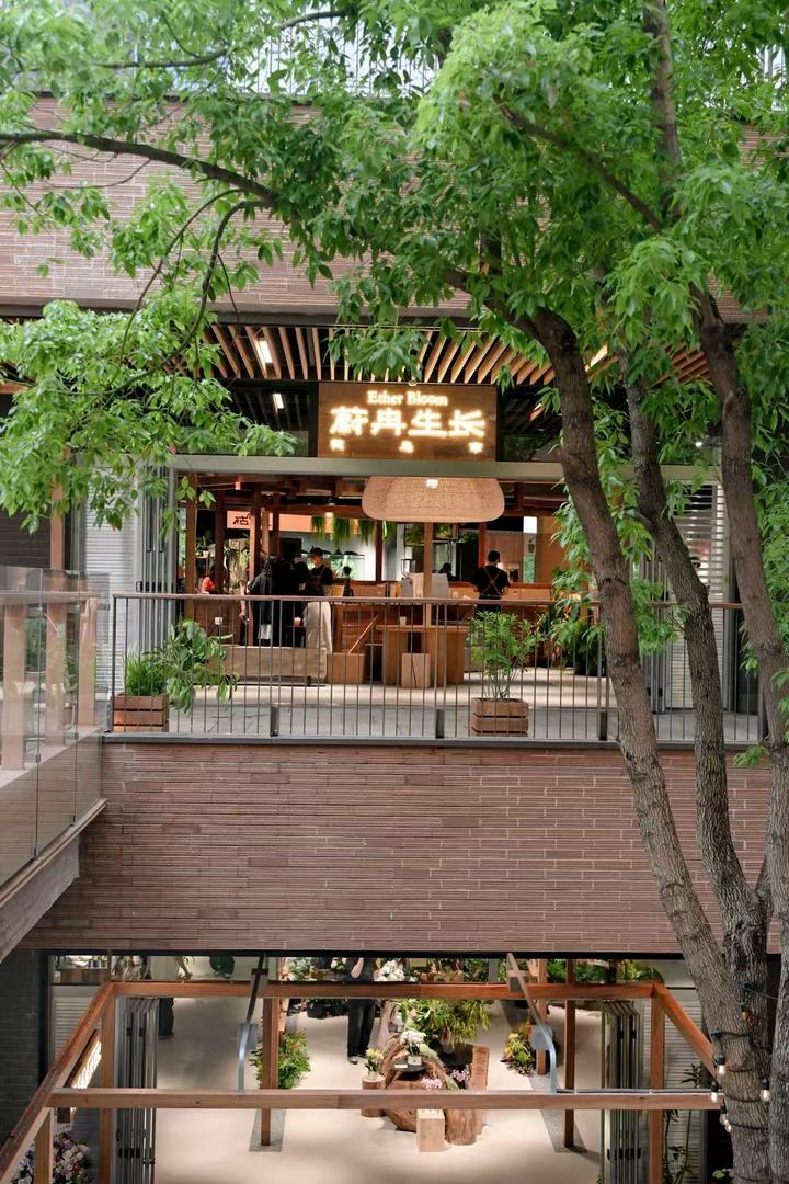 「蔚冉生长花鸟市」全新启幕：以自然为媒，重塑城市温度 - 知乎