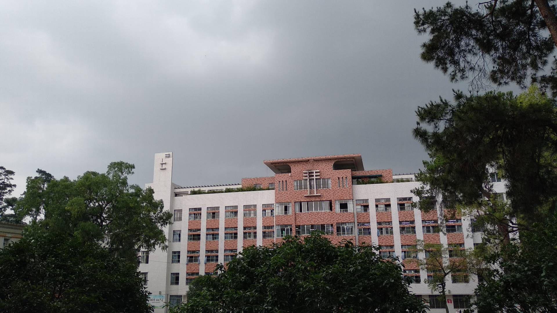 记录我的柳州市钢一中学三年生涯