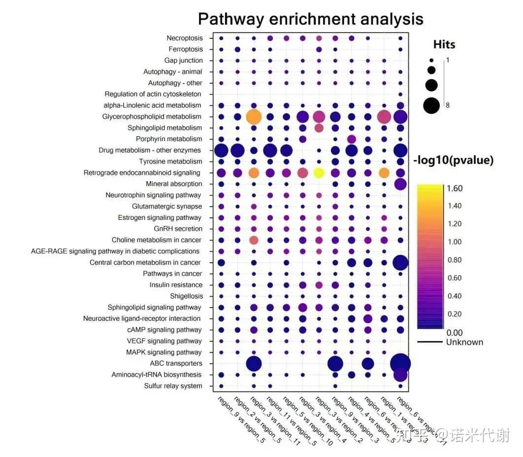 一张图带你了解高分辨率空间代谢组学结题报告——样本区域差异分析篇 - 知乎