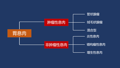 胃息肉会癌变吗带你重新认识胃息肉