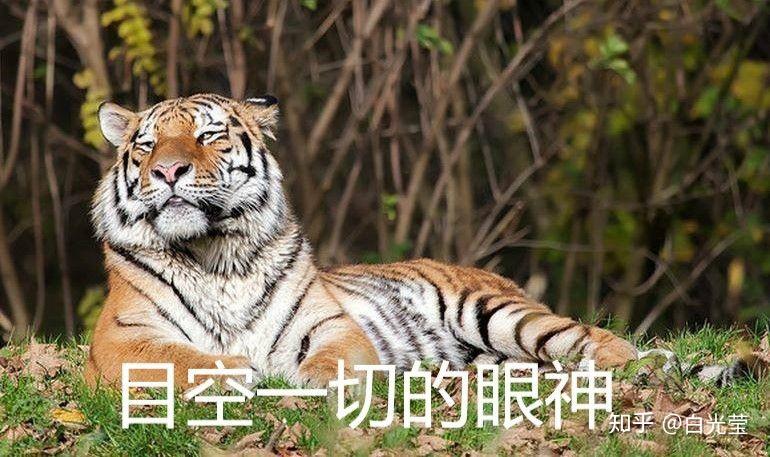 一个悲伤的故事