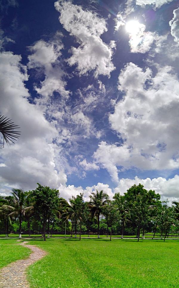 有哪些不经意拍出的惊艳照片?