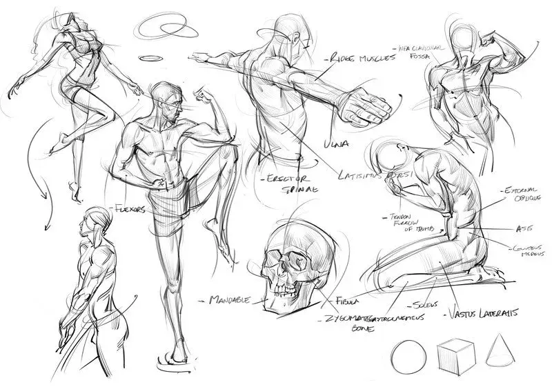 吐血整理人体动态线稿素材赶紧码住