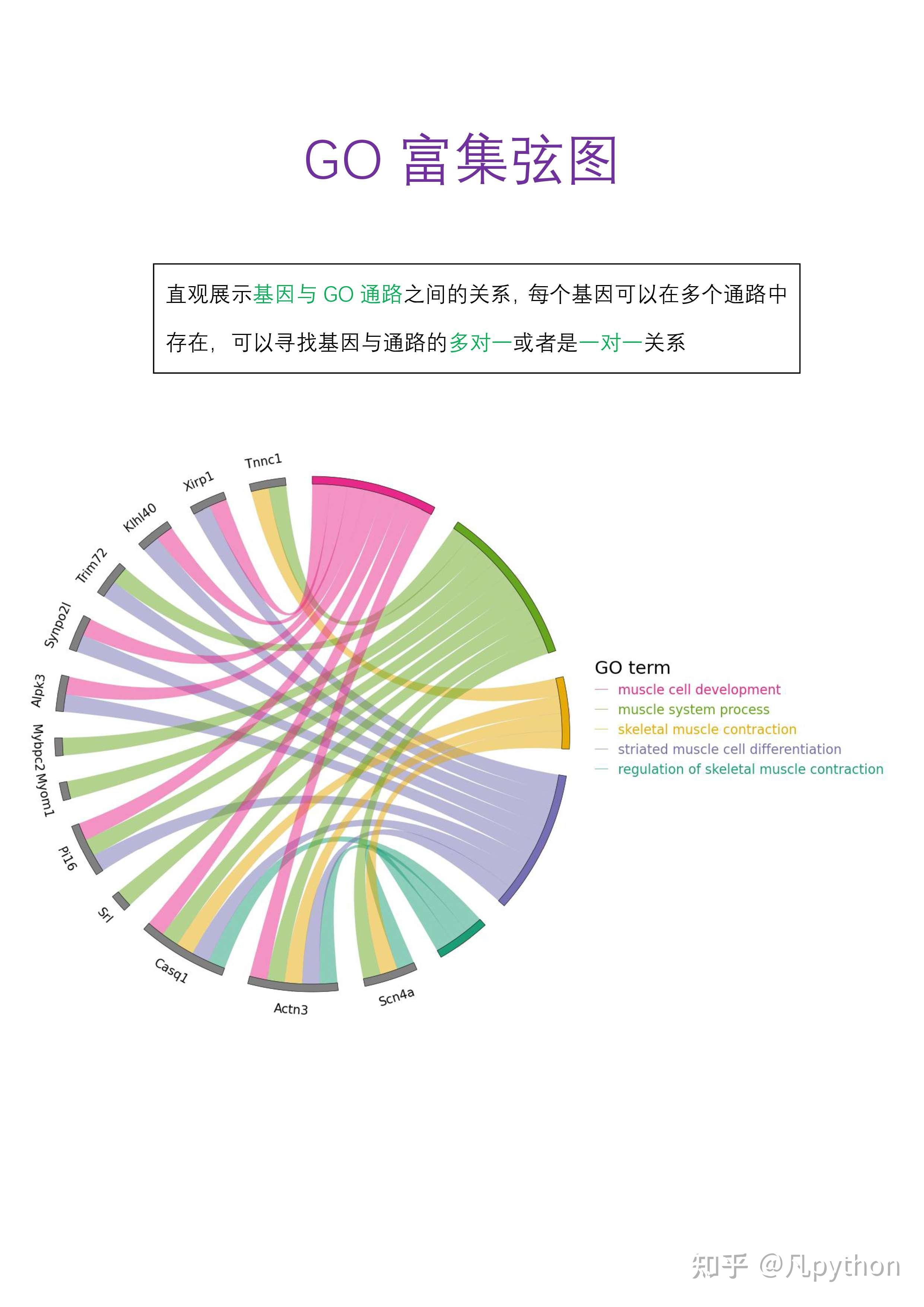 AI不会告诉你的GO弦图怎么画 - 知乎