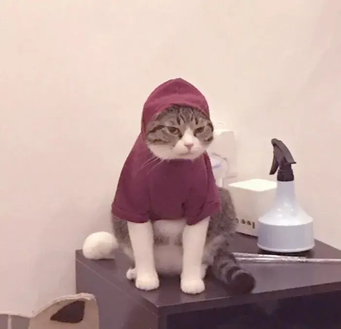 有哪些好看的情侣头像?-有哪些好看的情侣头像动漫