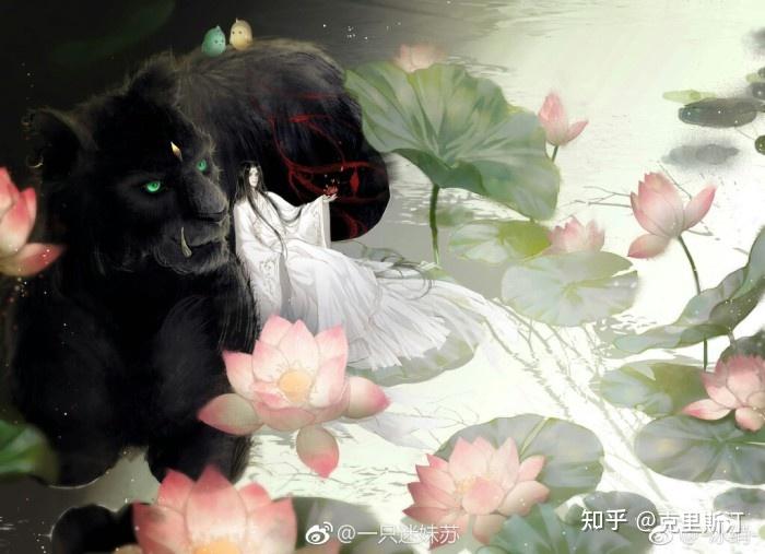 如何评价淮上提灯映桃花里的凤凰和周晖