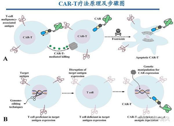 CAR-T行业概述 - 知乎