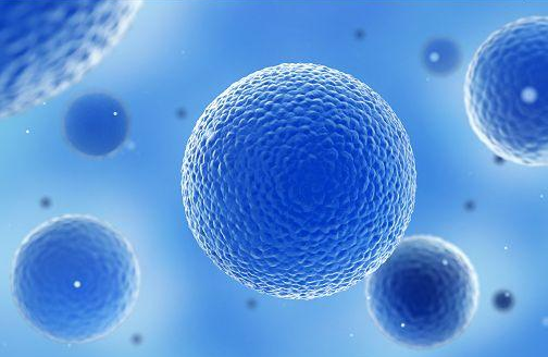 利用人体干细胞成功培育光敏感视网膜_郑大中科博生