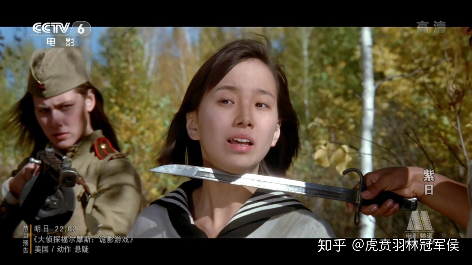 如何评价紫日这部电影