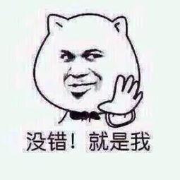 v2-1cedbffd00f183a299d87a1cf9215024_b.jpg