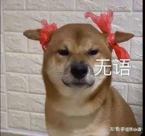 发狗子文案沙雕,发狗子文案沙雕搞笑