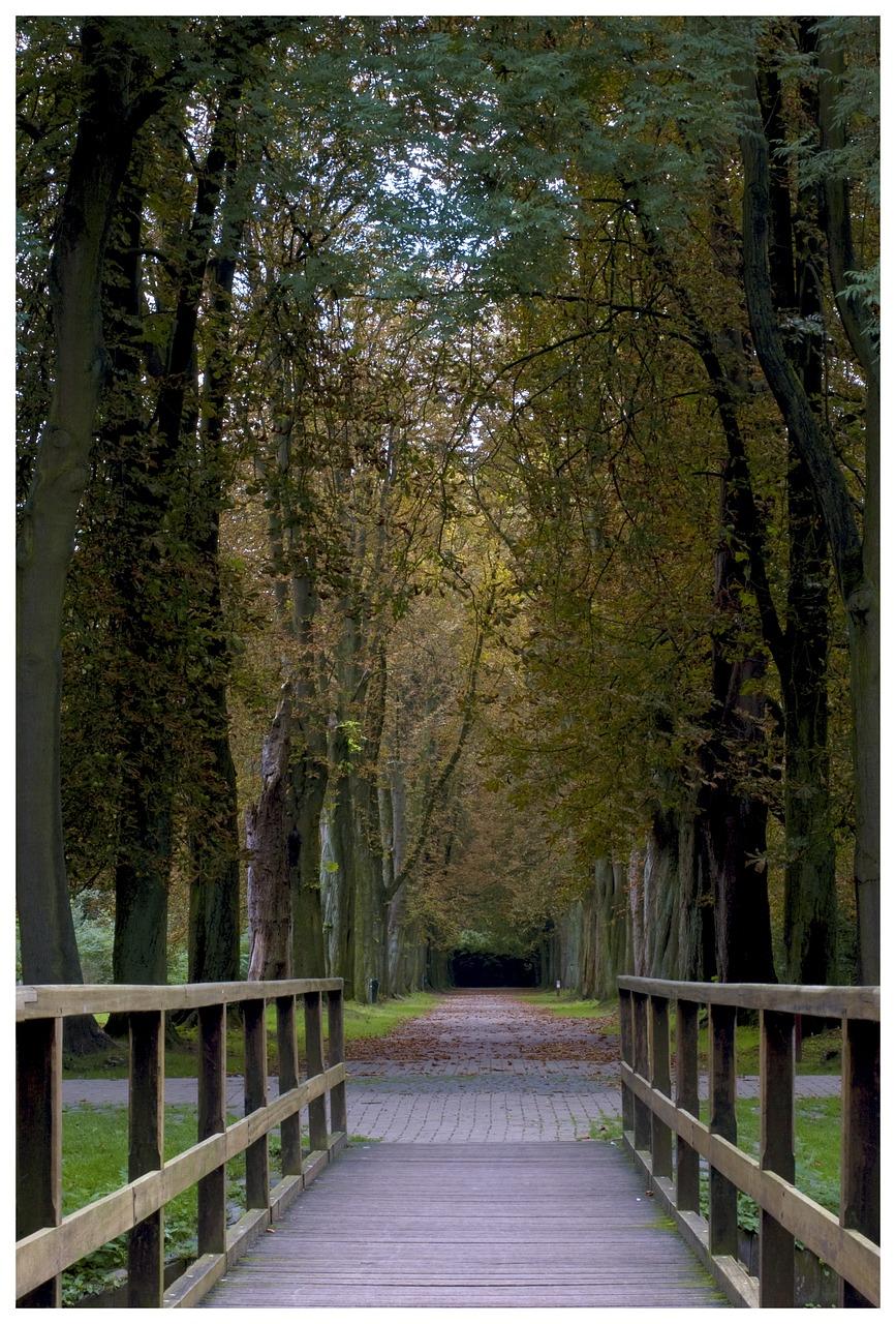 春沐源种植什么