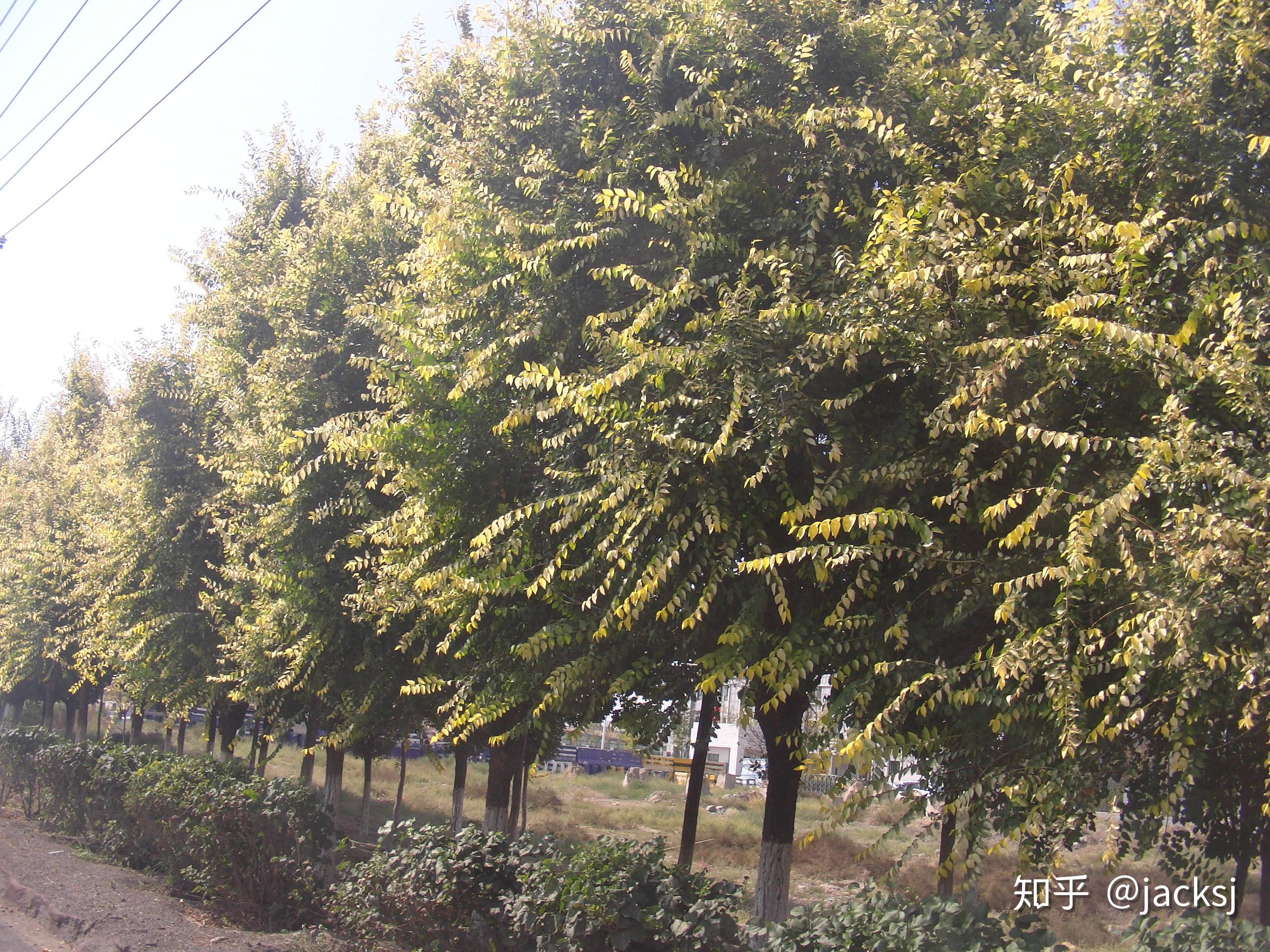 自驾游乌鲁木齐的独山子村