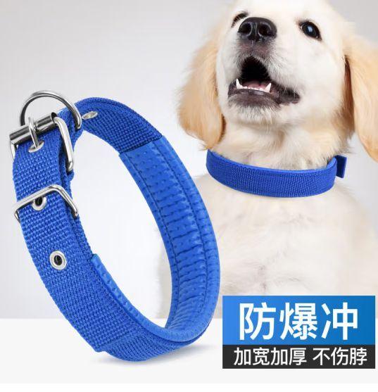 top狗项圈推荐狗项圈怎么选狗项圈品牌哪个好