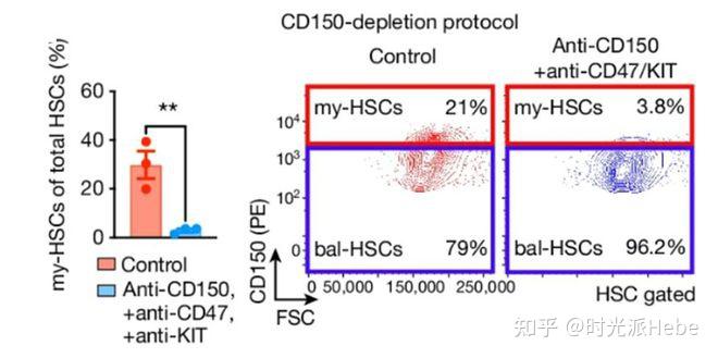 一针抗体,让免疫系统重返青春!只需清除这种干细胞 - 知乎
