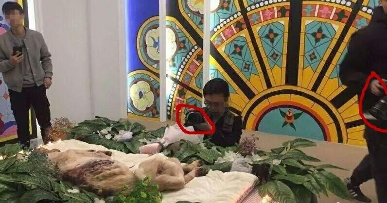 怎么看所谓爱狗人士围堵湖南驻京办,称为长沙